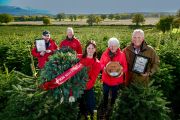 Champion Festive Wreath of the Year 2024 - Santa Trees